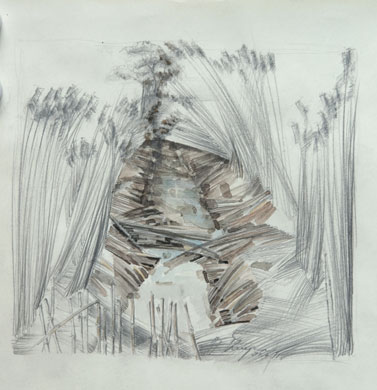 Zeichnungen - Bildhauer Wolfgang Dreysse